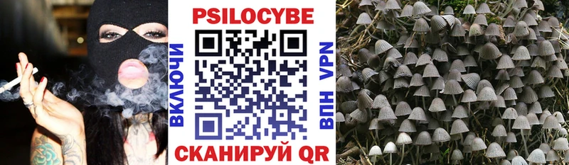 Галлюциногенные грибы Psilocybe  Советск 